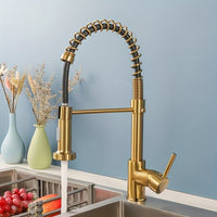Golden Luxury Pull Out Kitchen Faucet